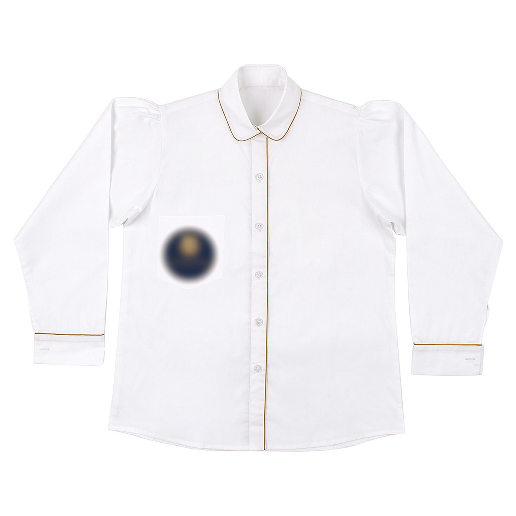 Long Sleeve Pintuck Blouse (UKT-1|SMT/2)